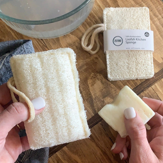 Natural Luffa Sponge