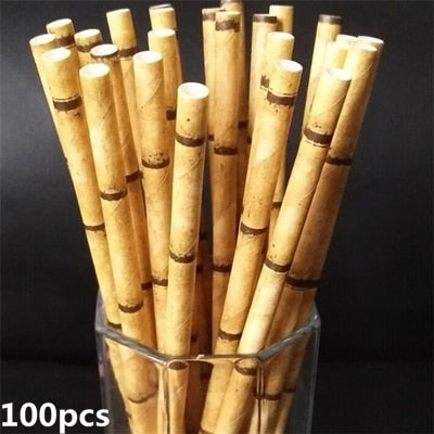 Reusable Paper Straw