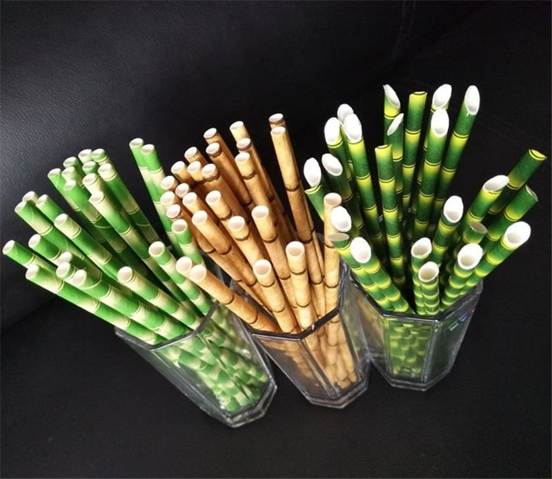 Reusable Paper Straw