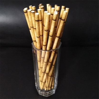 Reusable Paper Straw