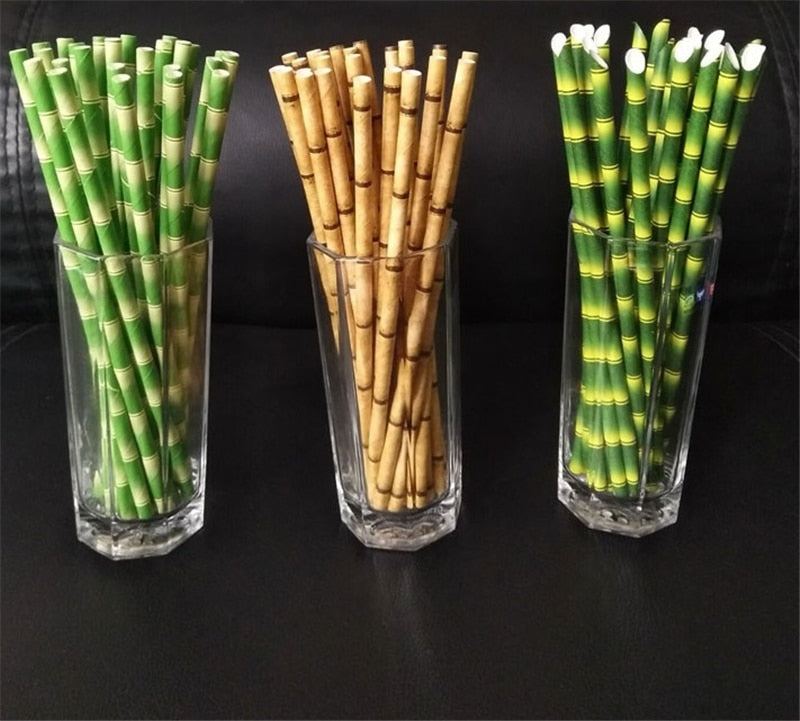 Reusable Paper Straw